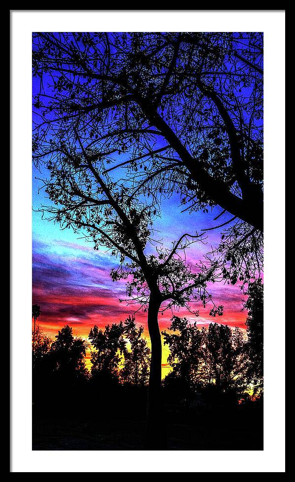 Kenneth James Framed Print featuring the photograph Good Night Leaves In Fall by Kenneth James