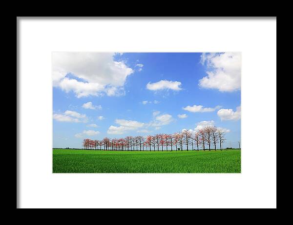 Grass Framed Print featuring the photograph \good Weather by Michaeliao27