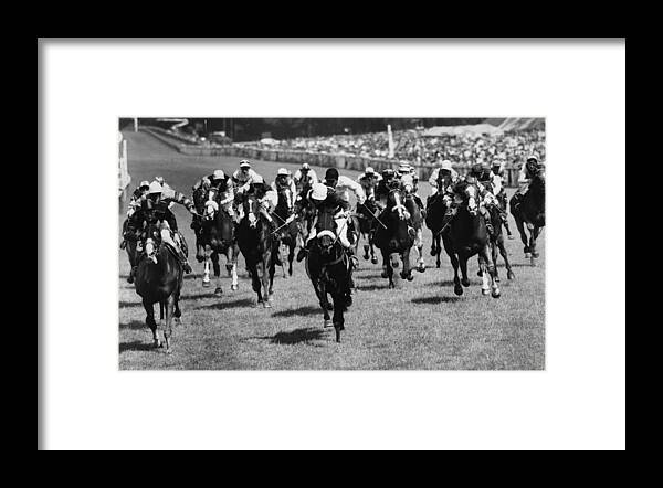 Horse Framed Print featuring the photograph Goodwood Race by Evening Standard