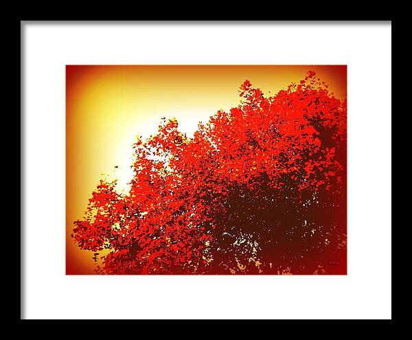 Sunrise Framed Print featuring the photograph Gooood Morning Sydney by VIVA Anderson