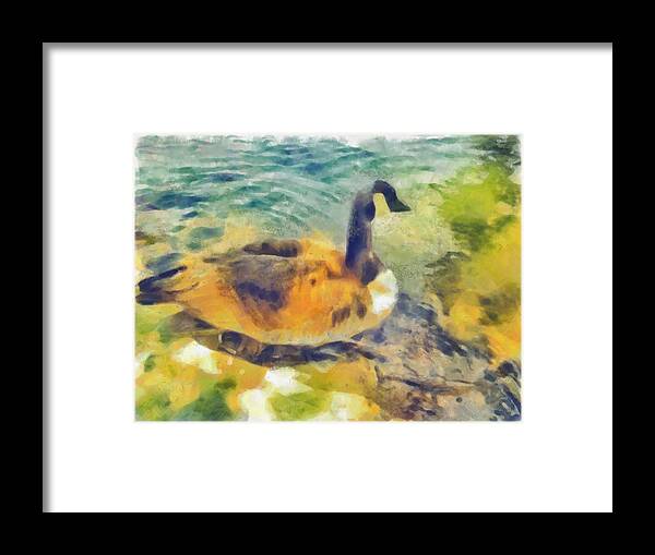Bird Framed Print featuring the digital art Goose by Bernie Sirelson