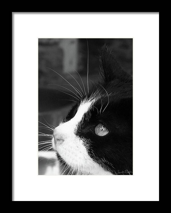 Gorgeous Framed Print featuring the photograph Gorgeous in Profile by Sandra Dalton