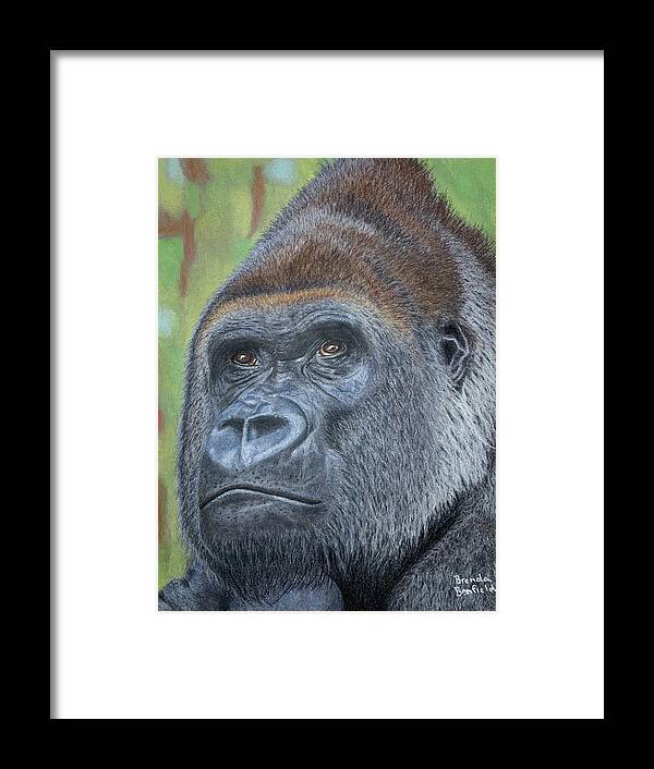 Gorilla Framed Print featuring the pastel Gorilla by Brenda Bonfield