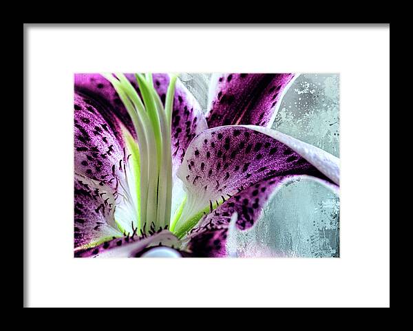 Evie Framed Print featuring the photograph Grace Lily by Evie Carrier