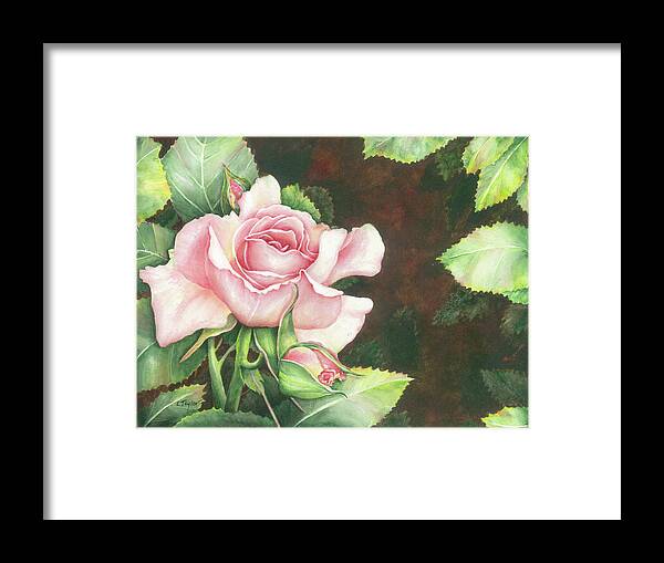 Rose Framed Print featuring the painting Grace by Lori Taylor