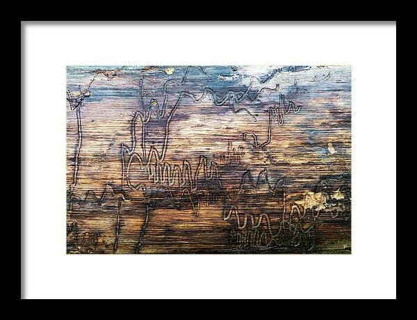 Nature Framed Print featuring the photograph Graffiti in the Wild by Tom Romeo