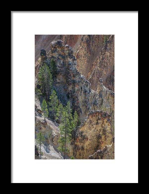 Danita Delimont Framed Print featuring the photograph Grand Canyon Of The Yellowstone by Roddy Scheer