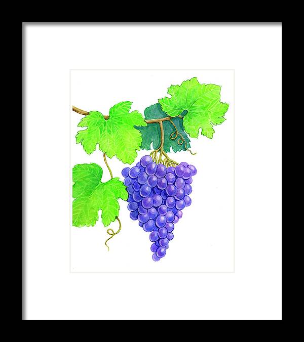 Grapes On Vine Framed Print featuring the painting Grapes On Vine by Geraldine Aikman
