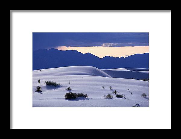Grass Framed Print featuring the photograph Grass Clumps On Sand Dunes, White Sands by John Elk Iii