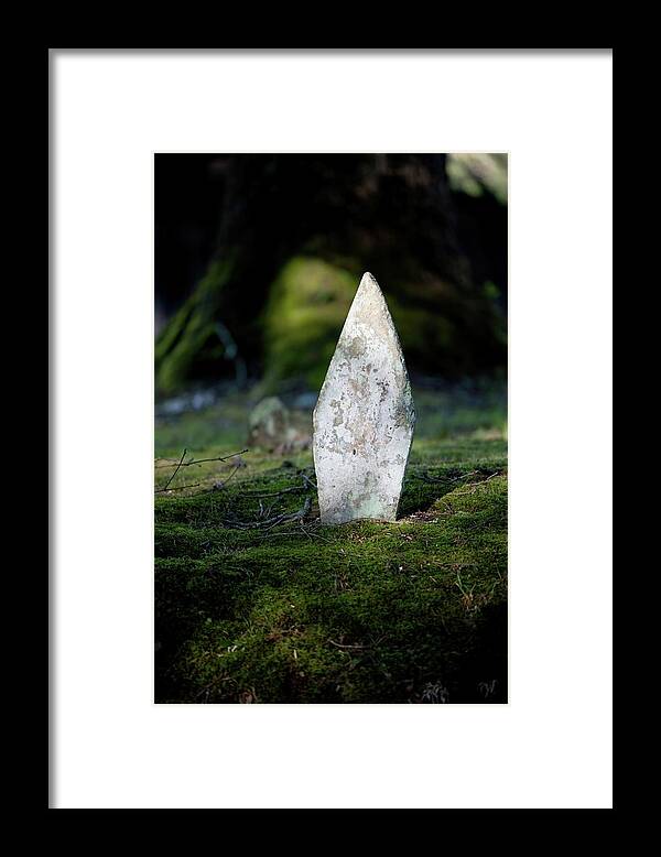 Gravestone Framed Print featuring the photograph Gravestone Under a Tree by T Lynn Dodsworth
