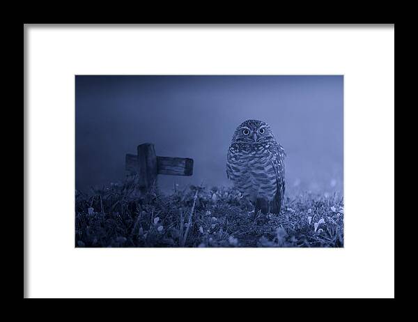 Burrowing Owl Framed Print featuring the photograph Graveyard Keeper by Leah Xu