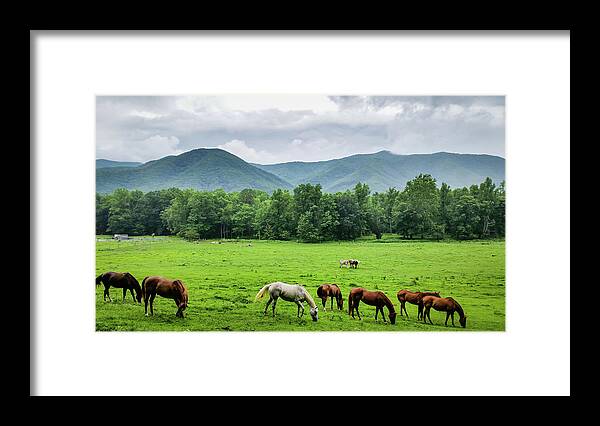 Clouds Framed Print featuring the photograph Grazing by Joe Leone