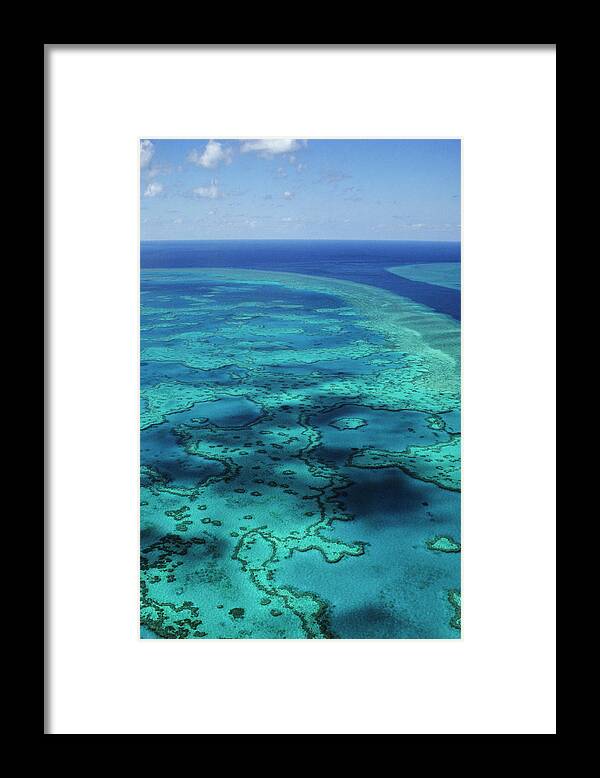 Water's Edge Framed Print featuring the photograph Great Barrier Reef by Tammy616