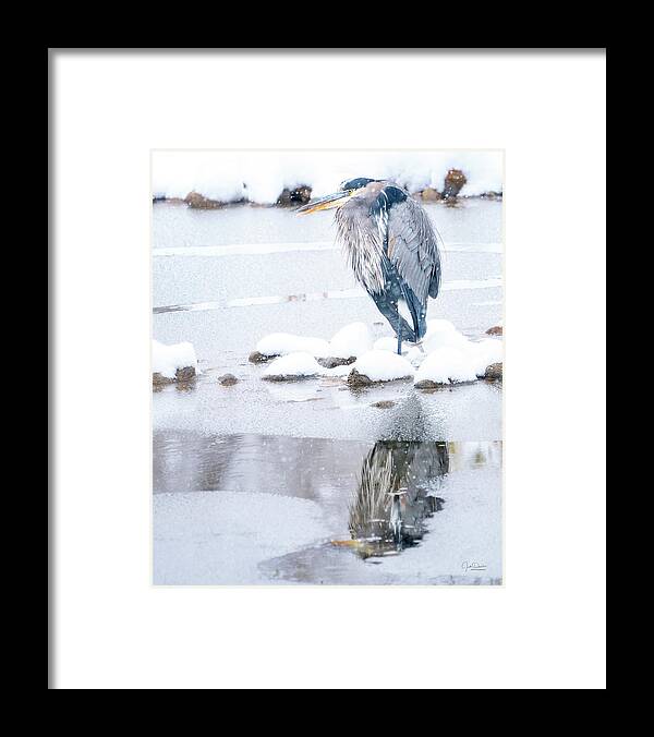 Great Blue Heron Framed Print featuring the photograph Great Blue Heron in Snow with Reflection by Judi Dressler