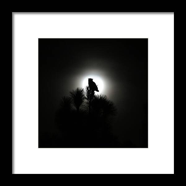 Great Horned Owl Framed Print featuring the photograph Great Horned Owl with Winter Moon by Robin Street-Morris
