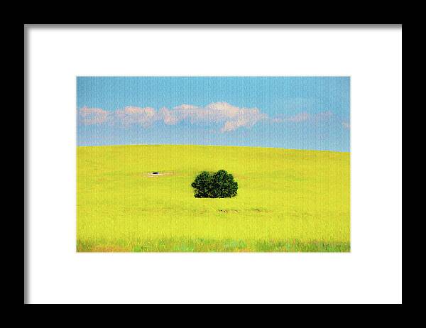Green Framed Print featuring the photograph Green bush in the middle of yellow sea  paintography by Dan Friend