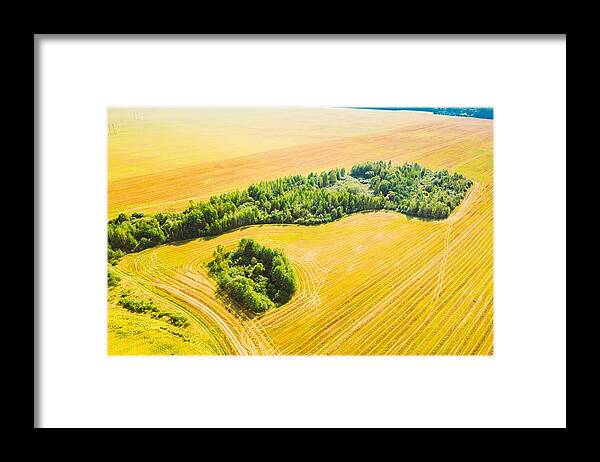 Landscapeaerial Framed Print featuring the photograph Green Forest Island With Green Grass by Ryhor Bruyeu