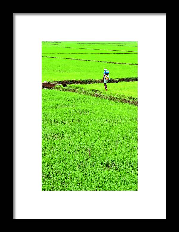 People Framed Print featuring the photograph Green Grass Earth Paddy Kerala by Anoop Negi