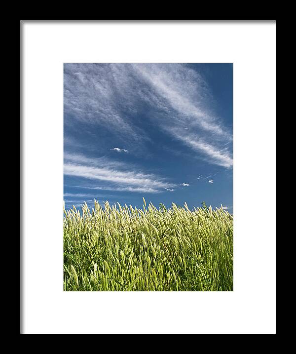 Tranquility Framed Print featuring the photograph Green Grass by Juan Vte. Muñoz