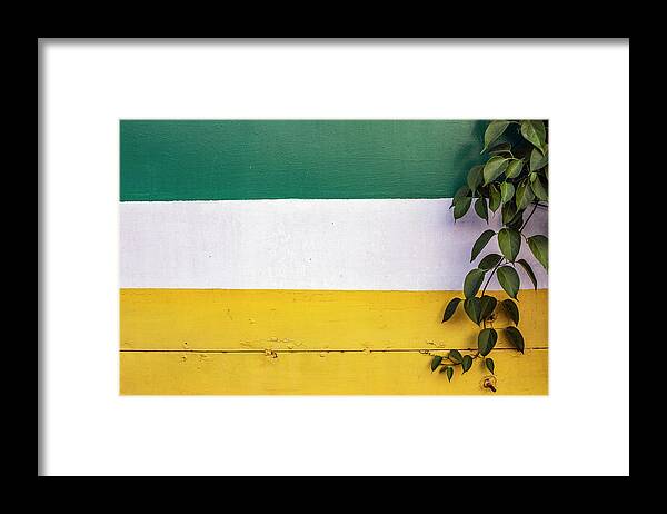 Minimalism Framed Print featuring the photograph Green Leaves and Negative Space by Prakash Ghai