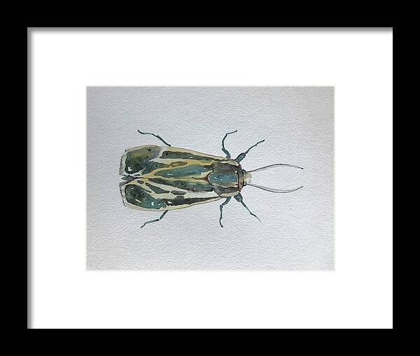 Green Framed Print featuring the painting Green Moth by Luisa Millicent