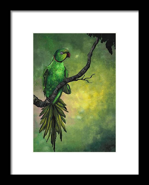 Bird Framed Print featuring the painting Green ring -necked parrot by Tara Krishna