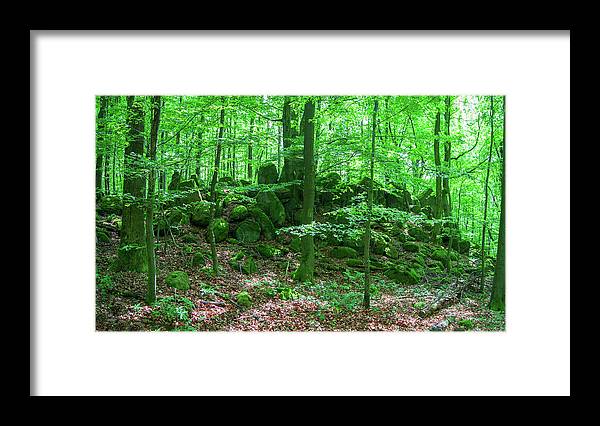 Forest Framed Print featuring the photograph Green stony forest in Vogelsberg by Sun Travels