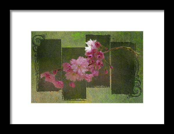 Flowers Framed Print featuring the photograph Romantic Blossoms 7 by Marilyn Wilson