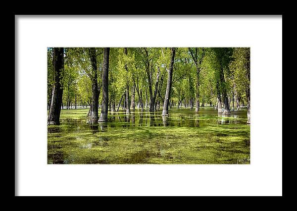 Green Framed Print featuring the photograph Greenville by Phil S Addis