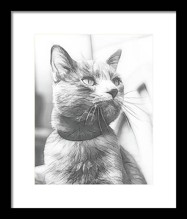 Art Framed Print featuring the digital art Grey Cat Posing, Black and White Sketch by Rick Deacon