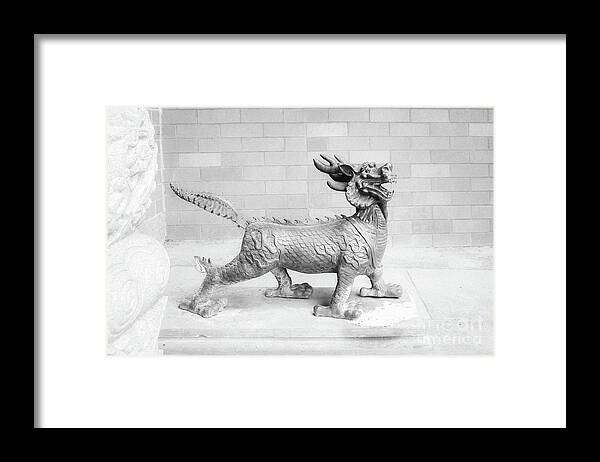 Grayish Framed Print featuring the photograph Guard Infrared by Fei A