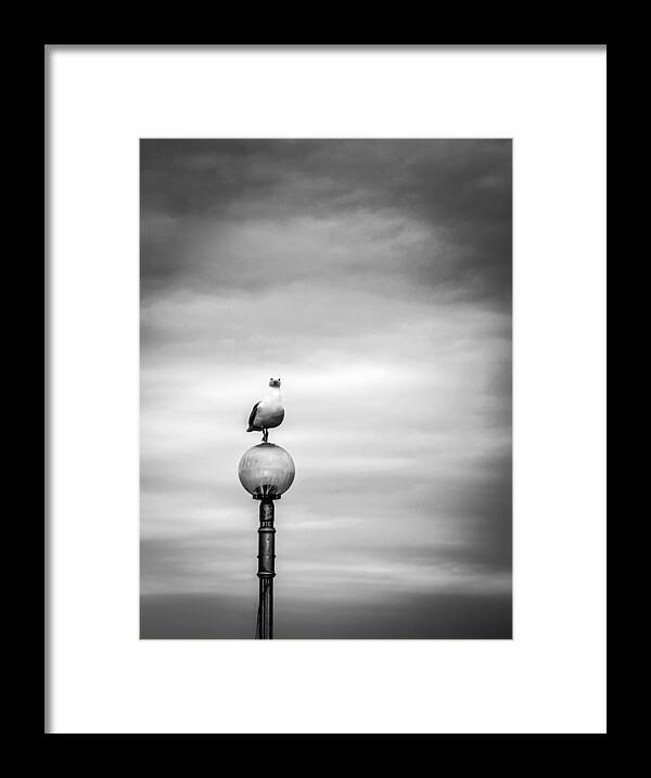 Minimal Framed Print featuring the photograph Gull by Stathis Karapanagiotidis