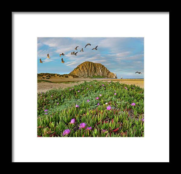 Beach Framed Print featuring the photograph Gulls Over Morro Rock by Tim Fitzharris