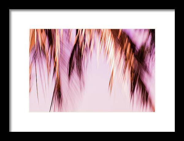 55 Framed Print featuring the photograph 55 - Gypsy Hair Pink by Jessica Yurinko