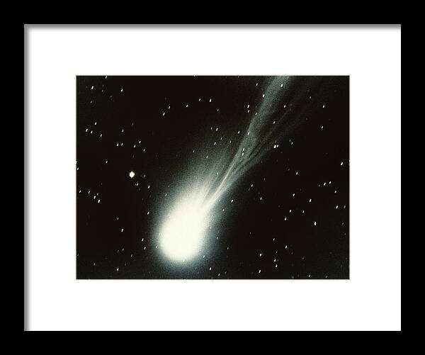 Comet Framed Print featuring the photograph Halleys Comet by Stocktrek