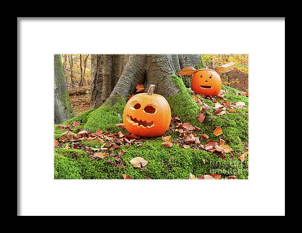 Pumpkins Framed Print featuring the photograph Halloween scary pumpkins in the woods by Simon Bratt