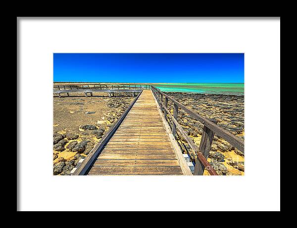 Stromatolites Framed Print featuring the photograph Hamelin Pool Path by Benny Marty