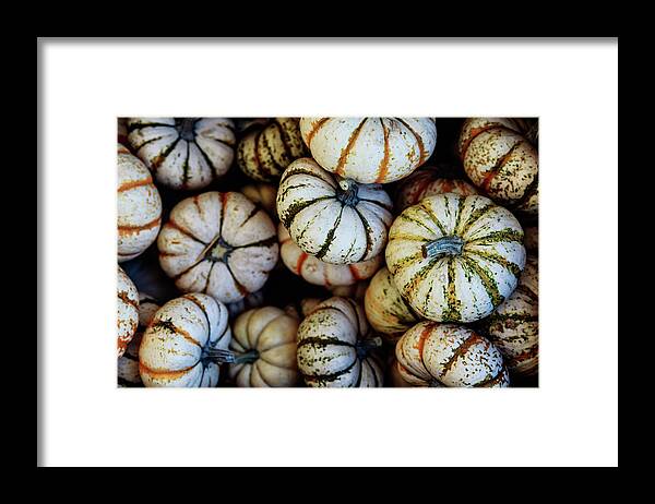 Pumpkin Framed Print featuring the photograph Harvest by Jason Roberts