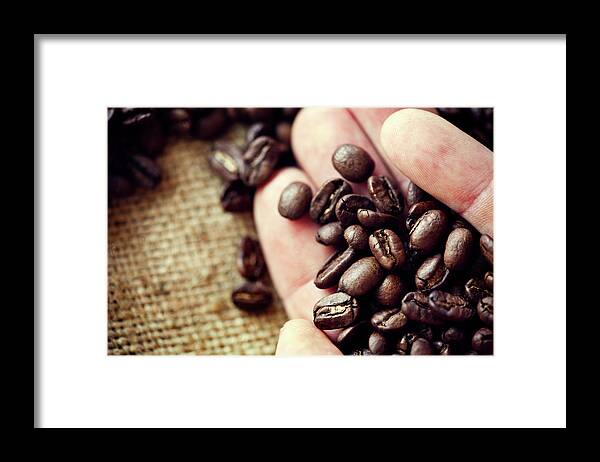 Trading Framed Print featuring the photograph Harvesting Hand Holding Coffee Over by Ryanjlane