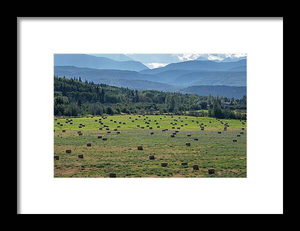 Canada Framed Print featuring the photograph Hay Season in British Columbia by Mary Lee Dereske