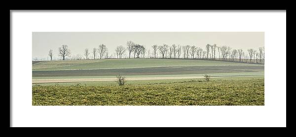 Green Field Framed Print featuring the photograph Hazy Muted Field by Tana Reiff