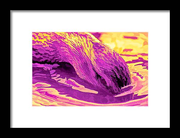 Duck Framed Print featuring the photograph Head Dunking Duck Funkadellic by Don Northup