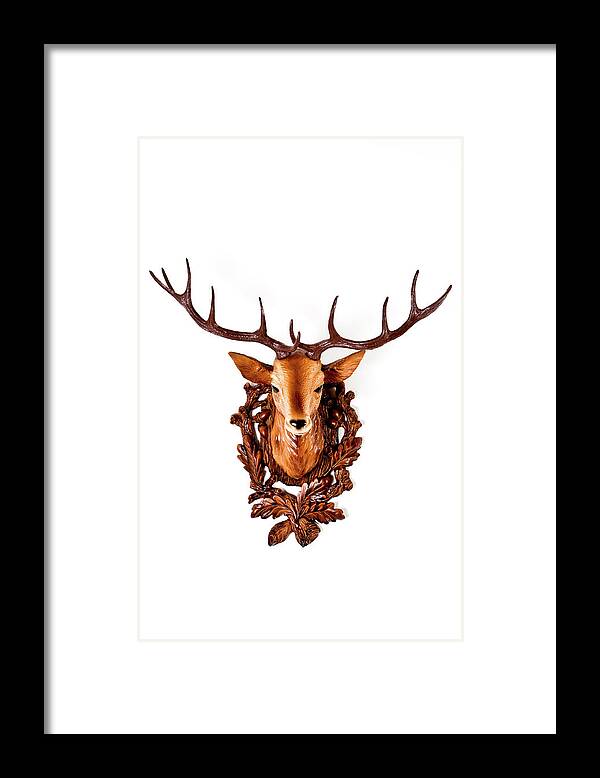 Hanging Framed Print featuring the photograph Head Of A Plastic Deer by Maodesign