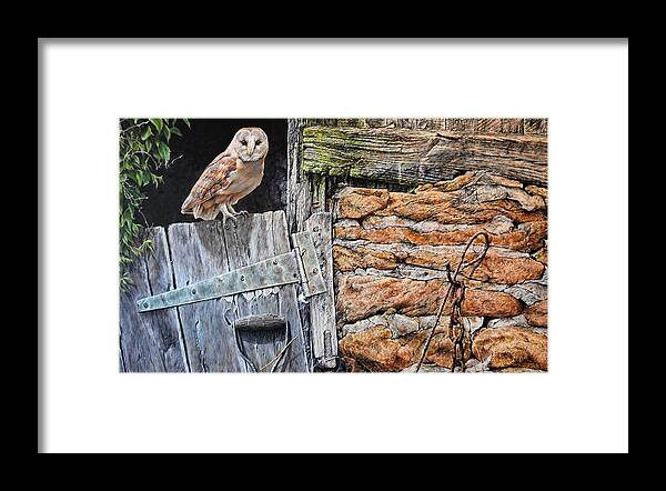 Paintings Framed Print featuring the painting Heading Out For Dinner - Barn Owl by Alan M Hunt by Alan M Hunt