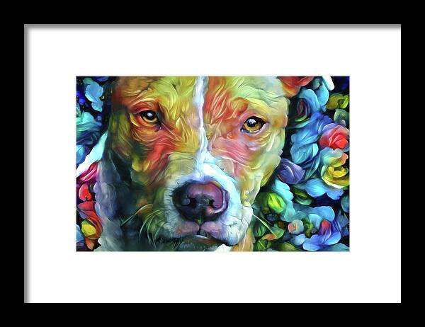 Gold Pitbull Framed Print featuring the mixed media Heart of Gold by Peggy Collins