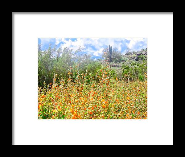 Globemallow Framed Print featuring the photograph Heavenly Home in Arizona by Judy Kennedy