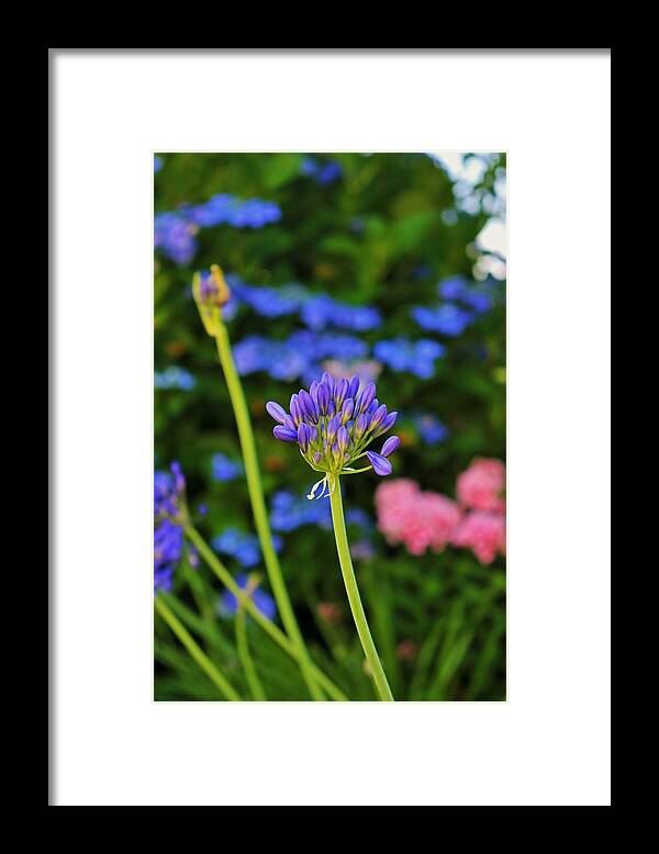 Blue Framed Print featuring the photograph Held in Silence- vertical by Michiale Schneider