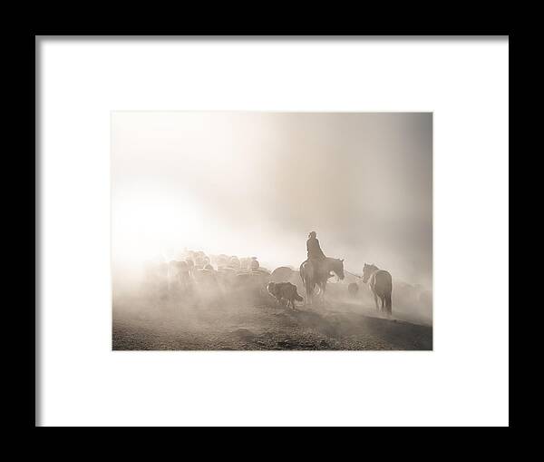  Framed Print featuring the photograph Herding by Bingo Z
