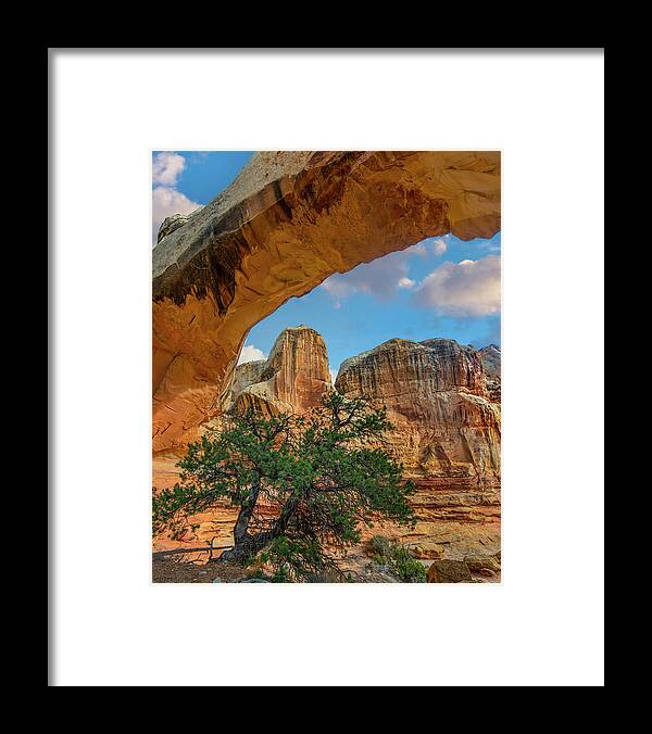 Arch Framed Print featuring the photograph Hickman Bridge by Tim Fitzharris