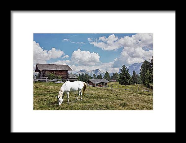 Horse Framed Print featuring the photograph High Pasture by Eden Antho
